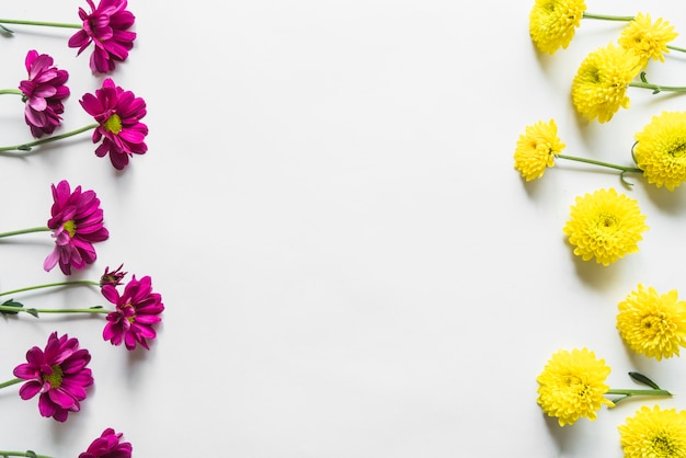 Foto bovenaanzicht van bloemen en bladeren