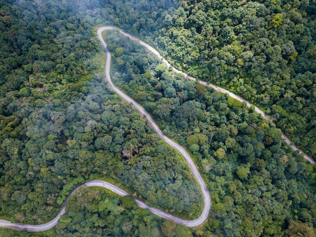 Bovenaanzicht van de de gebogen weg in groene bossen