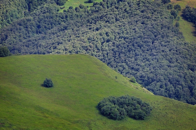 Bovenaanzicht van de heuvels en weilanden begroeid met gras. Gefotografeerd in de Kaukasus, Rusland.