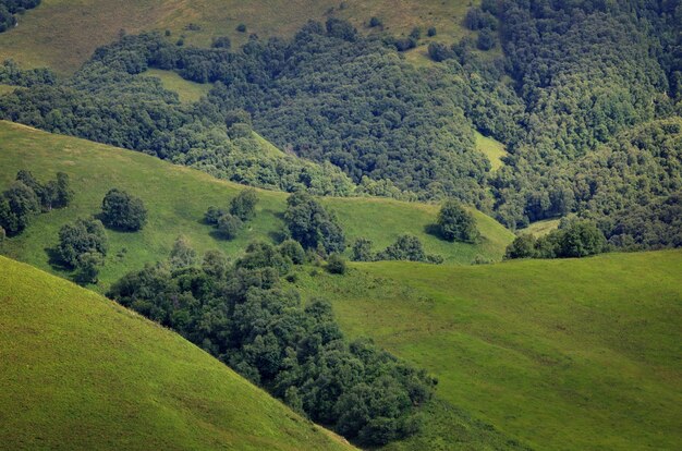 Bovenaanzicht van de heuvels en weilanden begroeid met gras. gefotografeerd in de kaukasus, rusland.