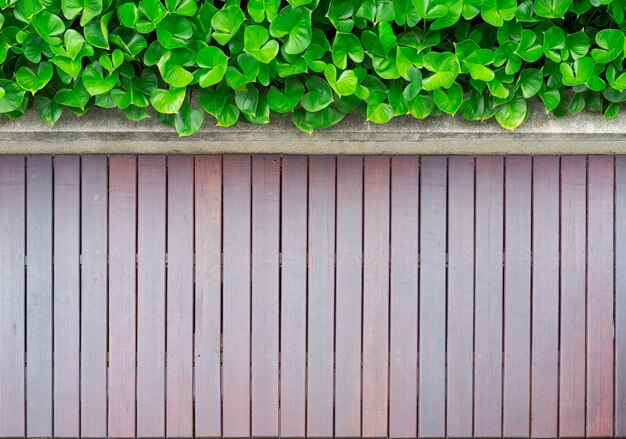 Bovenaanzicht van de tuin met houten vloer