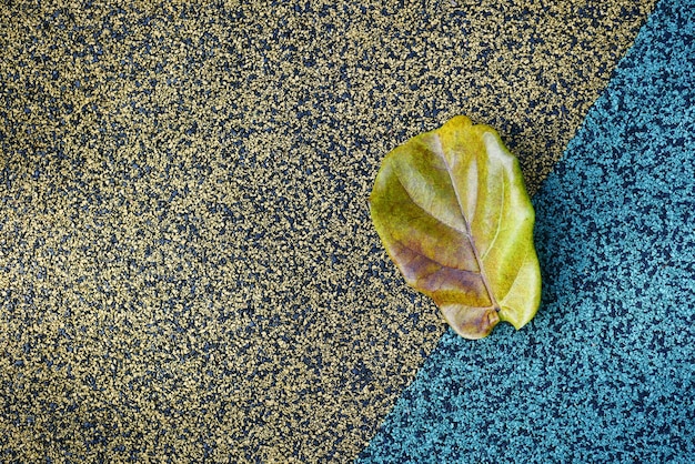 Bovenaanzicht van droog bruin blad op vloerachtergrond