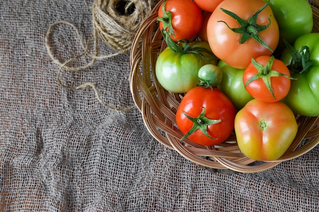 Bovenaanzicht van een bord met verschillende tomaten