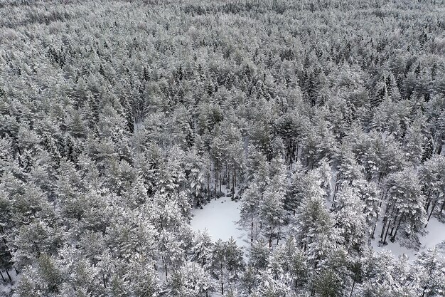 bovenaanzicht van een bos in de winter, landschap van de natuur in een besneeuwd bos, aerofoto