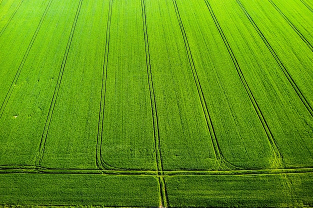 Bovenaanzicht van een gezaaid groen en grijs veld