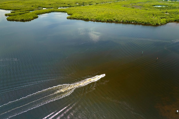 Bovenaanzicht van een kleine boot op de moerassen van de everglades met groene vegetatie tussen waterinlaten natuurlijke habitat van veel tropische soorten in de wetlands van florida