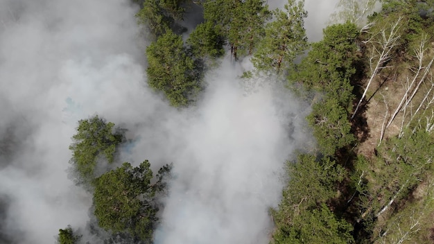 Bovenaanzicht van een onoverwinnelijke bosbrand.