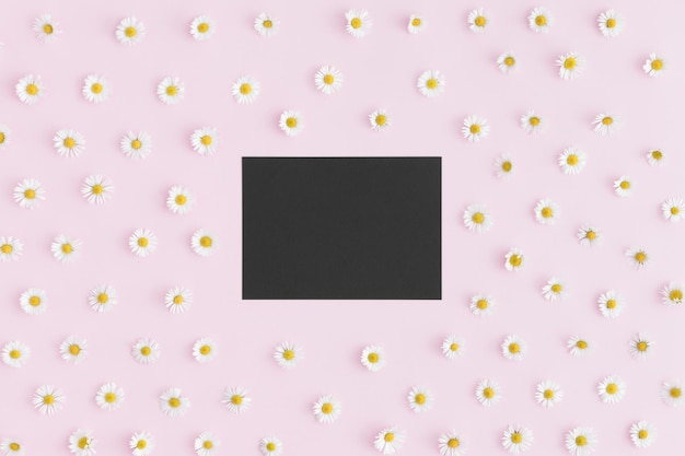 Bovenaanzicht van een zwart kaartmodel met madeliefjesdecoratie op een roze achtergrond