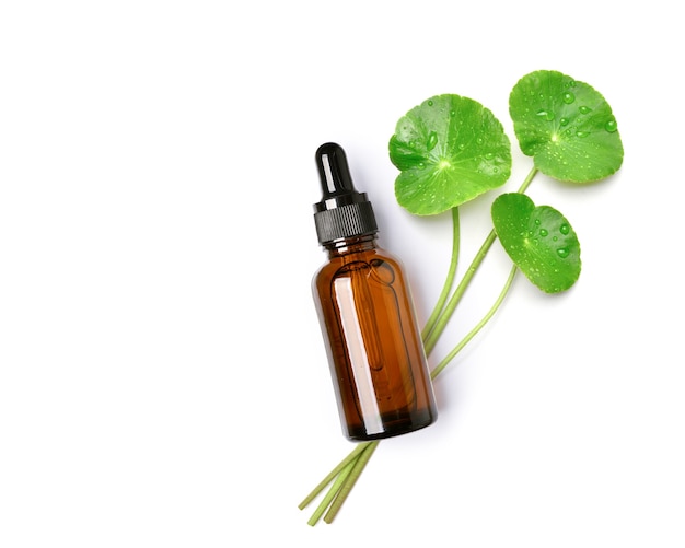 Bovenaanzicht van gotu kola centella asiatica-extract in amberkleurige fles met verse bladeren geïsoleerd op een witte achtergrond.