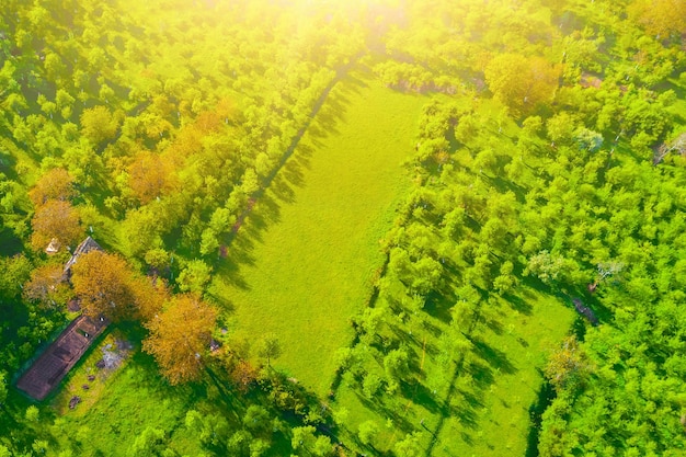 Bovenaanzicht van groene fruitbomen en gazon in het zonlicht