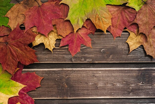 Bovenaanzicht van herfstbladeren met kopie ruimte