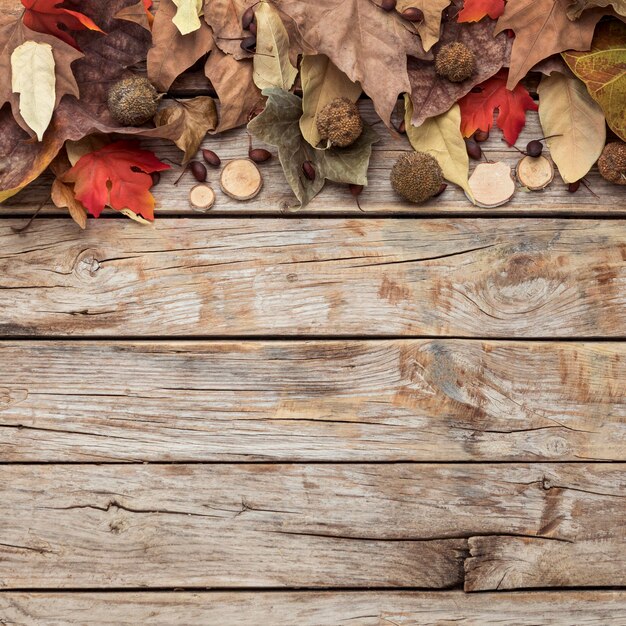 Bovenaanzicht van herfstbladeren met kopie ruimte