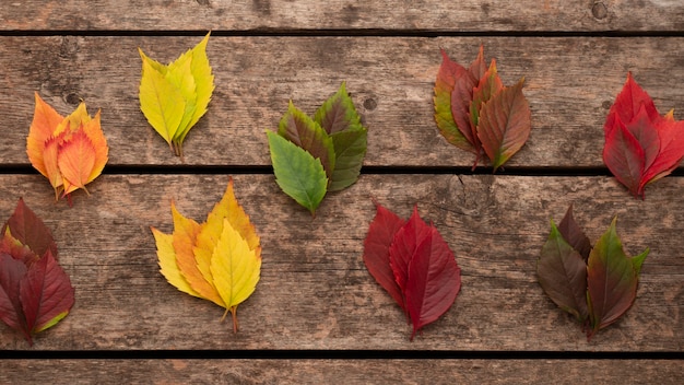 Bovenaanzicht van herfstbladeren