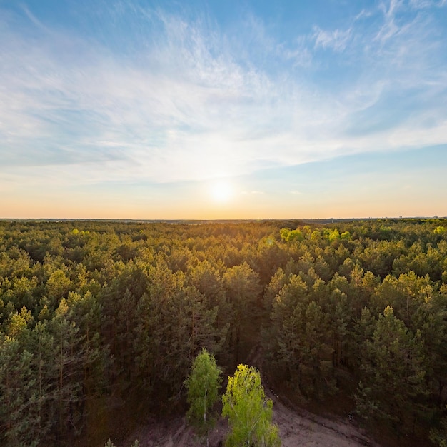 Bovenaanzicht van het bos bij zonsondergang