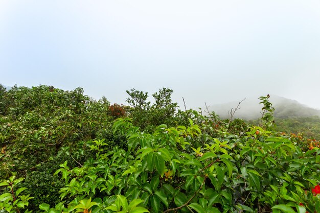 Bovenaanzicht van Khao Luang National Park, Nakhon Si Thammarat, Thailand