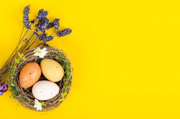 Bovenaanzicht van kleur pasen haqndmade eieren en nest flatlay. trendy minimaal ontwerp lente achtergrond. ruimte voor tekst. stuio foto