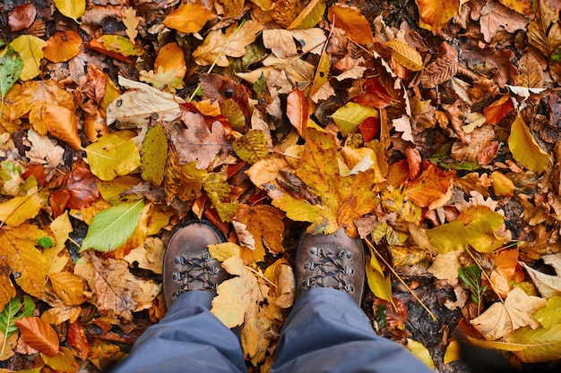 Bovenaanzicht van laarzen in de gouden herfst leafsnatural achtergrond