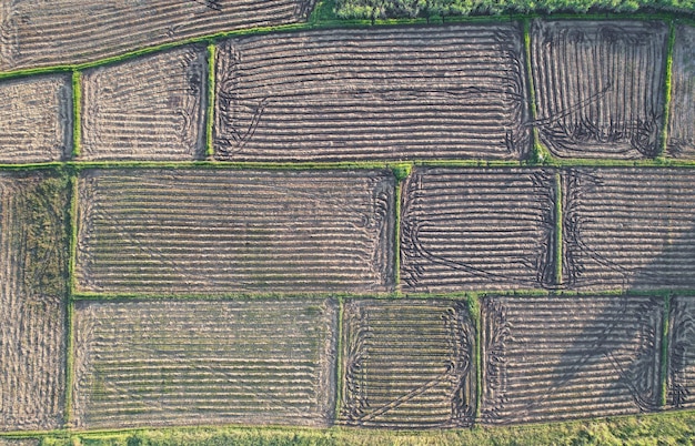 Bovenaanzicht van landbouwgrond met patroon van machine die zich in het veld van Thailand beweegt