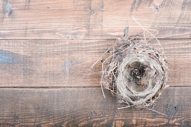 Bovenaanzicht van leeg vogelnest op houten achtergrond