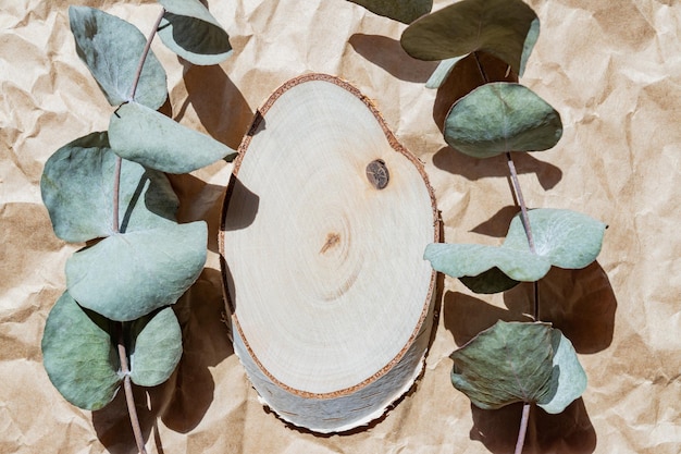 Bovenaanzicht van lege houten snede met eucalyptus bladeren op papier ambachtelijke achtergrond Mockup presentatie voor goederen of cosmetica close-up