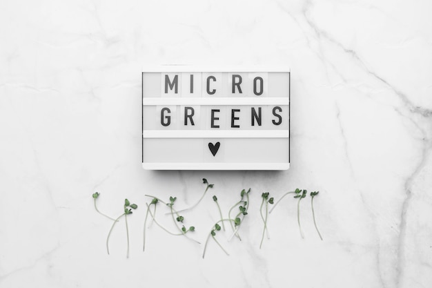 Bovenaanzicht van microgreens op witte marmeren tafel. Gezond superfood concept.