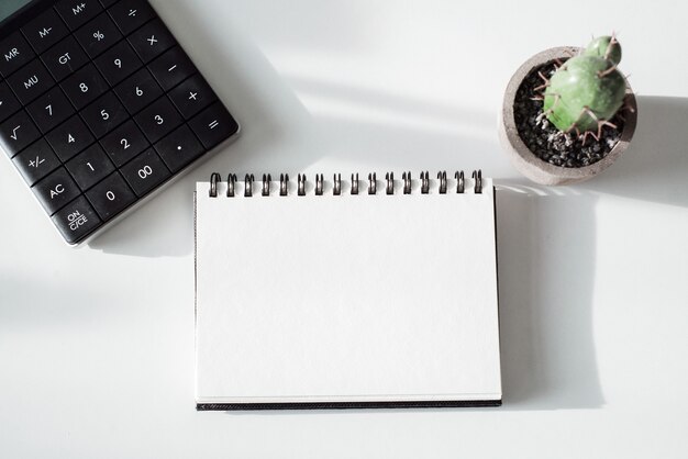 Bovenaanzicht van notebooks, rekenmachine en cactus op witte bureaus met zonlicht