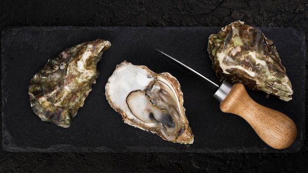 Foto bovenaanzicht van oesters met mes