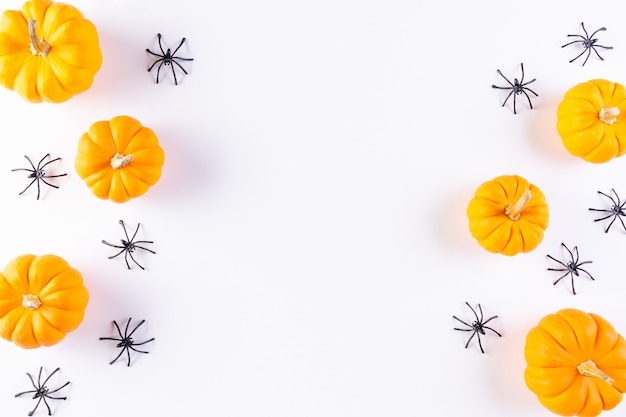 Foto bovenaanzicht van oranje pompoen en spin op witte achtergrond. kopieer ruimte voor tekst. halloween concept.