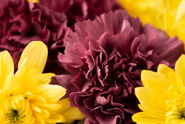 Bovenaanzicht van prachtige bloemen in verschillende kleuren