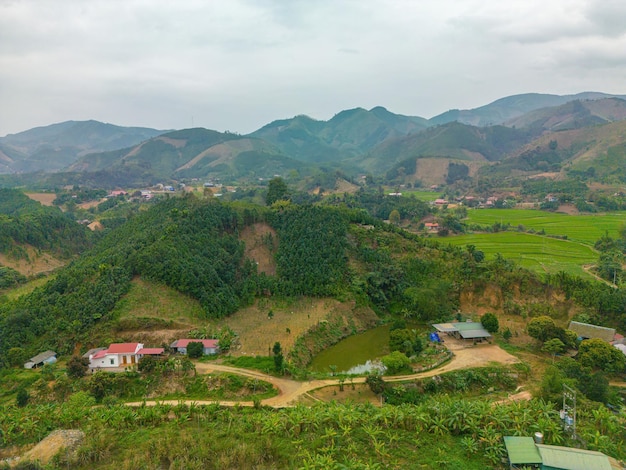 Bovenaanzicht van rijstvelden op terrassen in de snelweg van Yen Bai Vietnam Rijstvelden bereiden de oogst voor in Noordwest-Vietnam