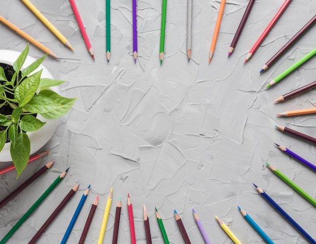 Bovenaanzicht van schoolbenodigdheden met plant