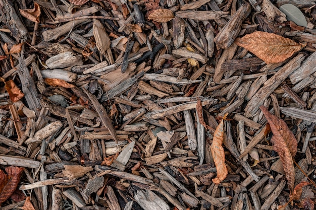 Bovenaanzicht van schors houtsnippers met droge herfstbladeren