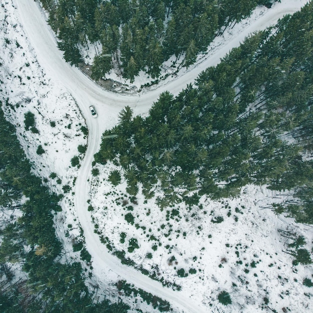 Bovenaanzicht van suv-auto in besneeuwd winterbos. reisconcept