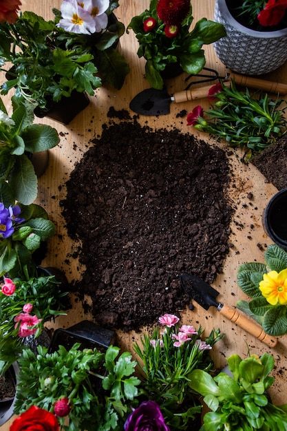 Bovenaanzicht van verschillende bloemen in potten staan rond de grond