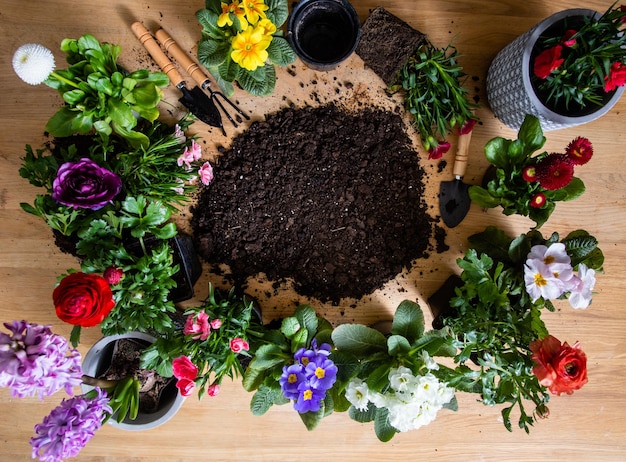 Bovenaanzicht van verschillende bloemen in potten staan rond de grond