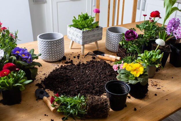 Bovenaanzicht van verschillende bloemen in potten staan rond de grond