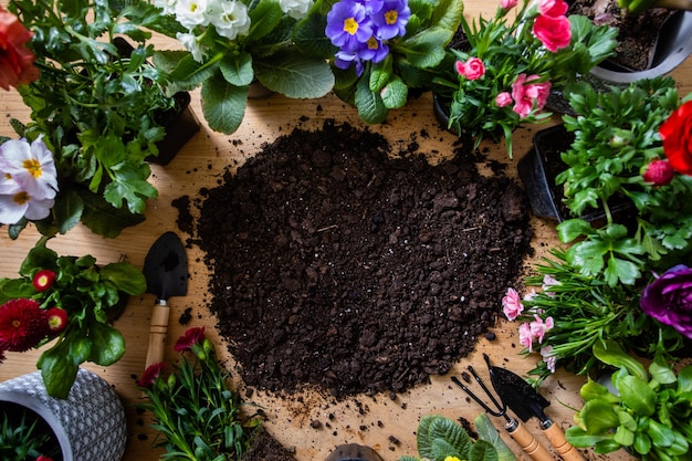 Bovenaanzicht van verschillende bloemen in potten staan rond de grond