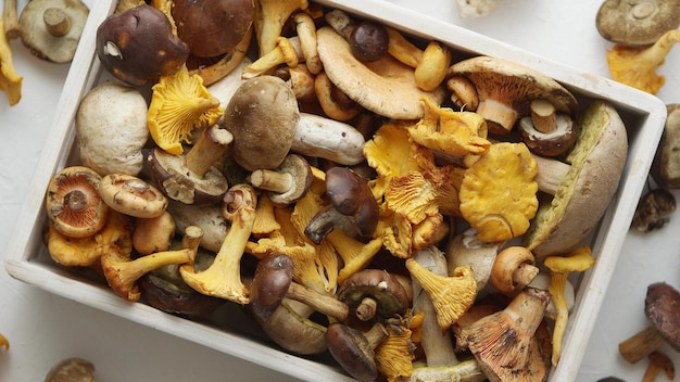 Bovenaanzicht van verschillende wilde paddenstoelen verzameld in houten kist. Bovenaanzicht plat gelegd