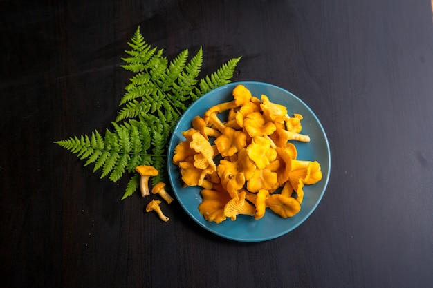 Bovenaanzicht van verse cantharellen paddestoelen op donkere tafel en met plaats voor tekst. . Hoge kwaliteit foto