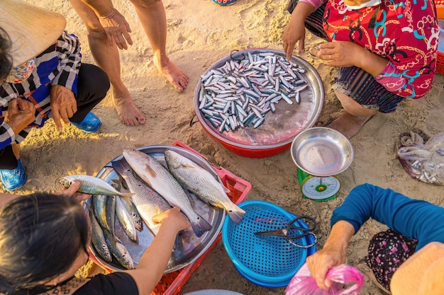 Bovenaanzicht van visser die vis verkoopt op het strand nadat ze zoveel dagen van de oceaan zijn teruggekeerd aan het werk op de boot Traditionele vissers