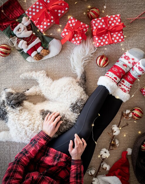 Bovenaanzicht van vrouw in grappige sokken die Kerstmis viert met haar hond