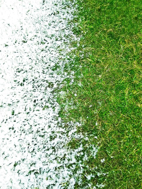 Bovenaanzicht van witte sneeuw op groen gazon gras. Winter- en zomerseizoenen