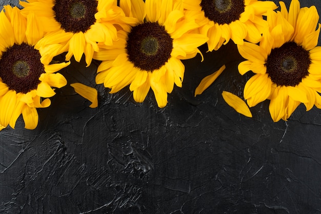 Foto bovenaanzicht van zonnebloemen frame met kopie ruimte