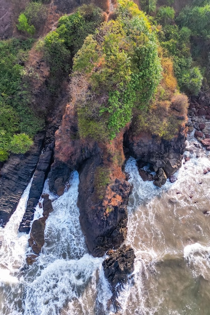 Bovenaanzicht vanuit de lucht op tropisch strand met groene palmbomen onder zonlicht Drone-weergave in Goa