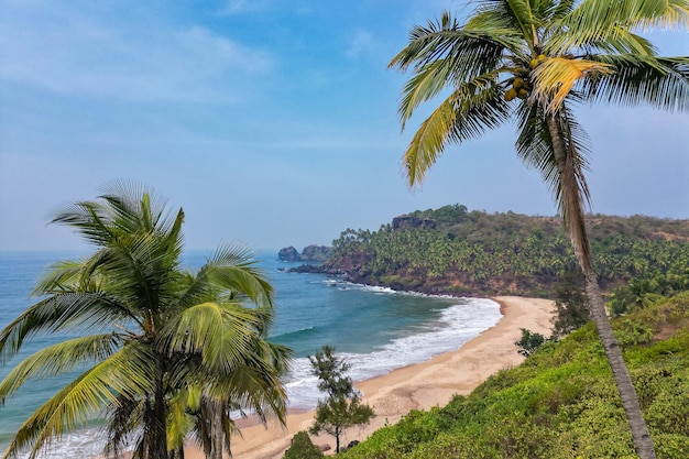 Bovenaanzicht vanuit de lucht op tropisch strand met groene palmbomen onder zonlicht Drone-weergave in Goa