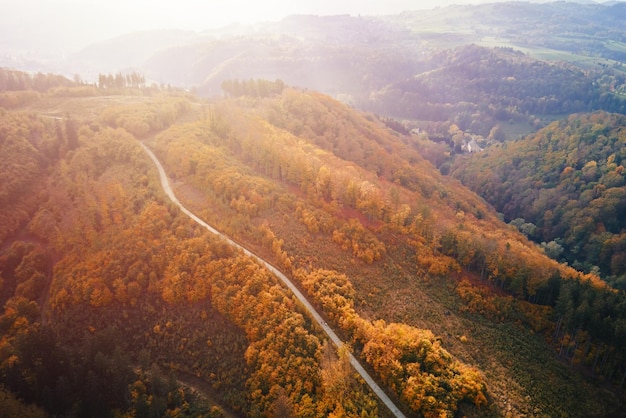 Bovenaanzicht vanuit de lucht van de weg door het herfstbos in het natuurlandschap van de bergen