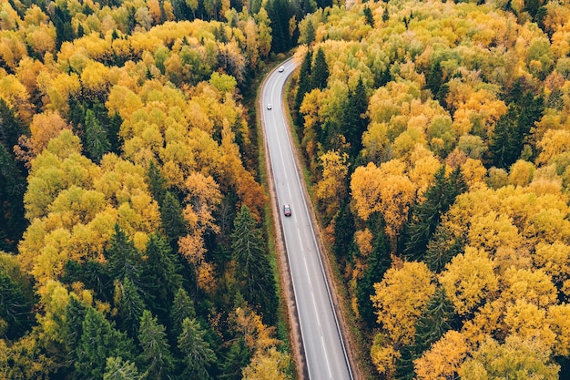 Bovenaanzicht vanuit de lucht van weg met auto door herfstbos met kleurrijke bladeren A