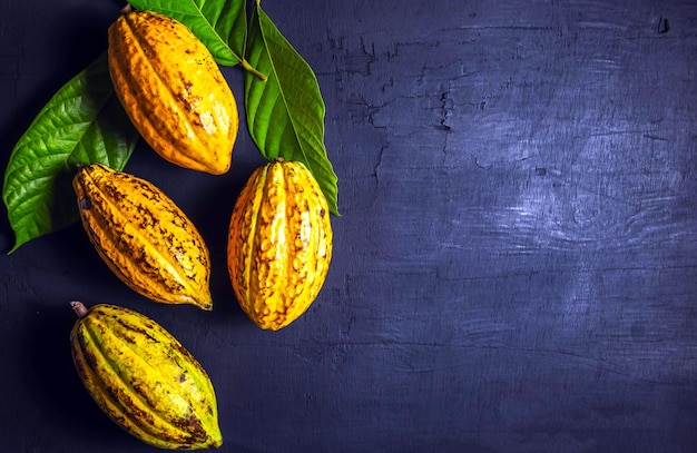 Bovenaanzicht verse rijpe gele cacao pod en groene blad cacao op zwarte achtergrond