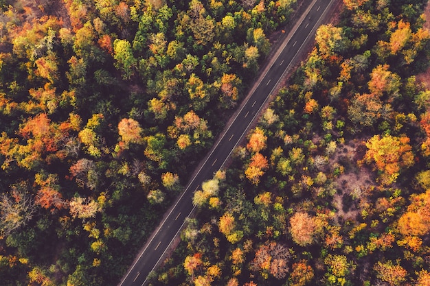 bovenaanzicht weg met kleurrijk bos in platteland