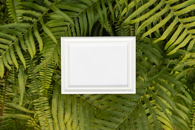 Foto bovenaanzicht wit frame op bladeren achtergrond